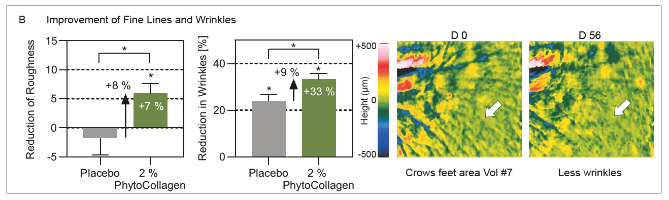 PhytoCollagen