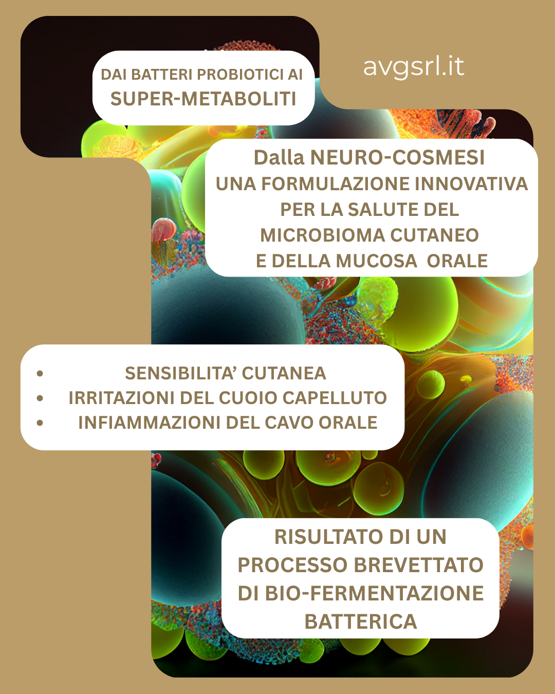 OPTIMEALTH™. LA FORZA DELLA FERMENTAZIONE CAMBIA IL MICROBIOMA