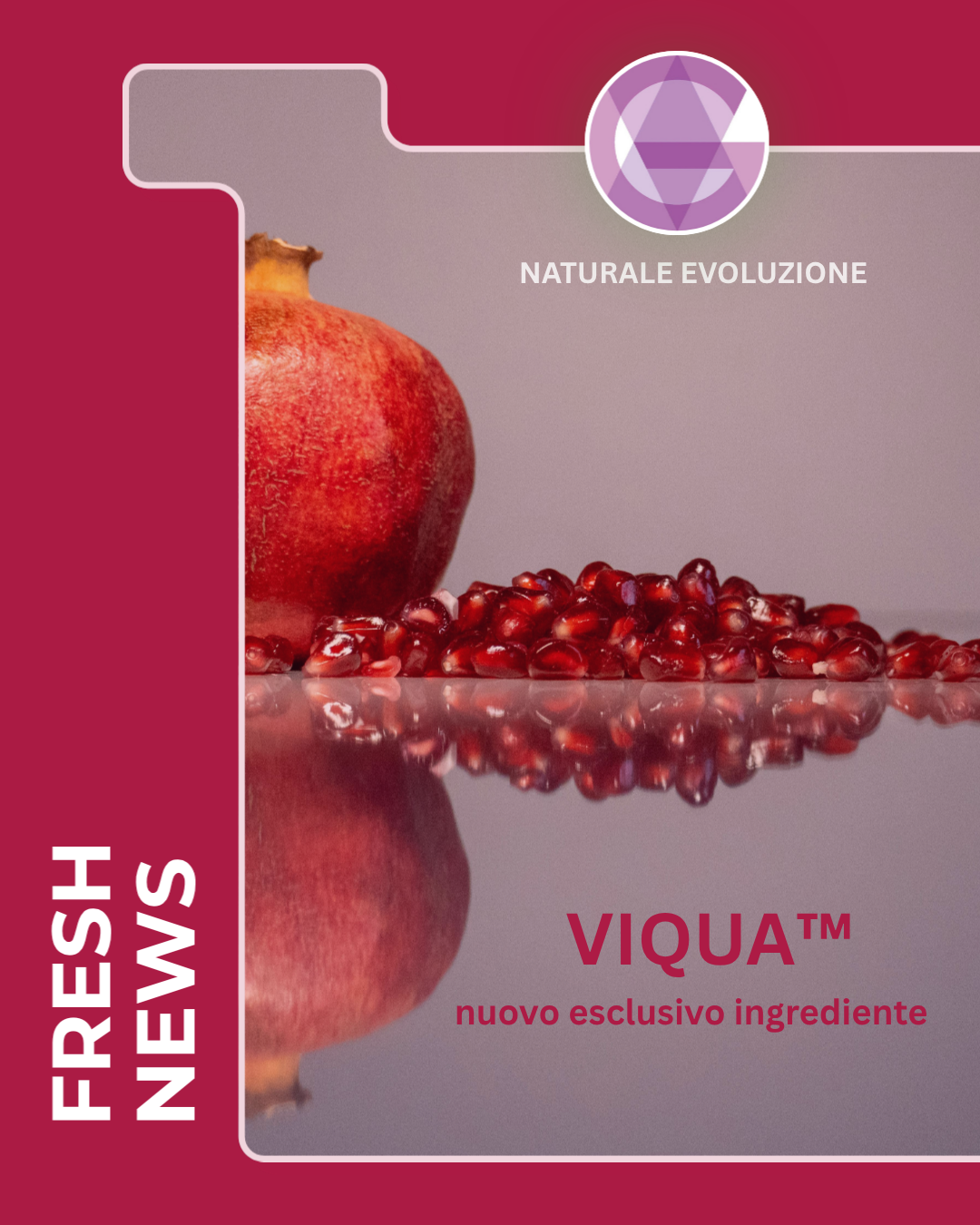 <b>VIQUA®: DALL'ESTRATTO DI MELAGRANO IL BOOSTER ANTINFIAMMATORIO CHE ARRIVA FIN DENTRO I MITOCONDRI GRAZIE ALLA TECNOLOGIA ADS (Advanced Delivery System).</b>