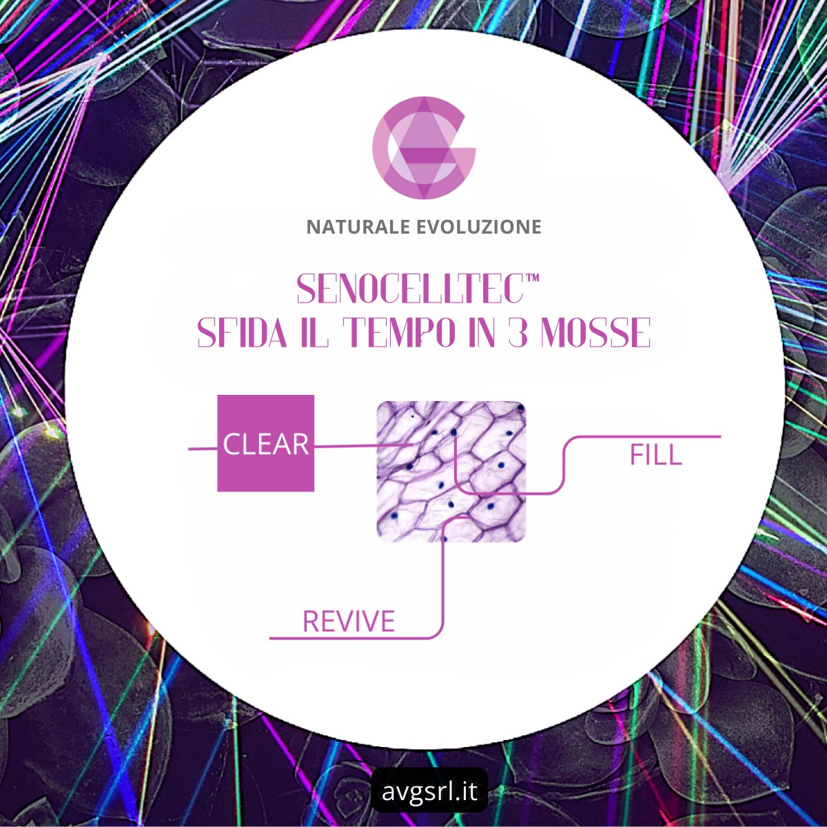 SenoCellTec™ by Mibelle Biochemistry “sfida il tempo” in 3 mosse.