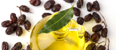 L’olio di Neem: il miracoloso olio orientale.