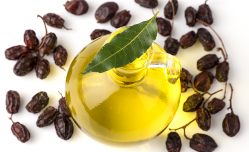 L’olio di Neem: il miracoloso olio orientale.