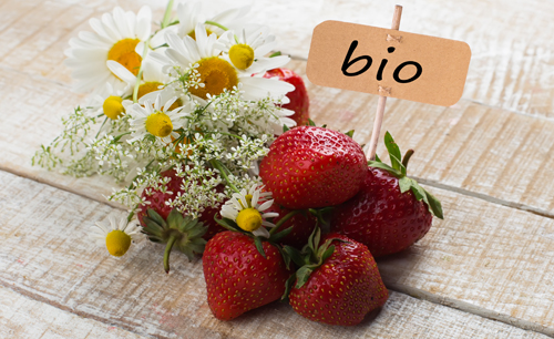 Bio Cosmetica e qualità degli ingredienti.