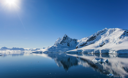 Snowalgae, in un'alga che vive nei ghiacciai il segreto della longevità della pelle.  